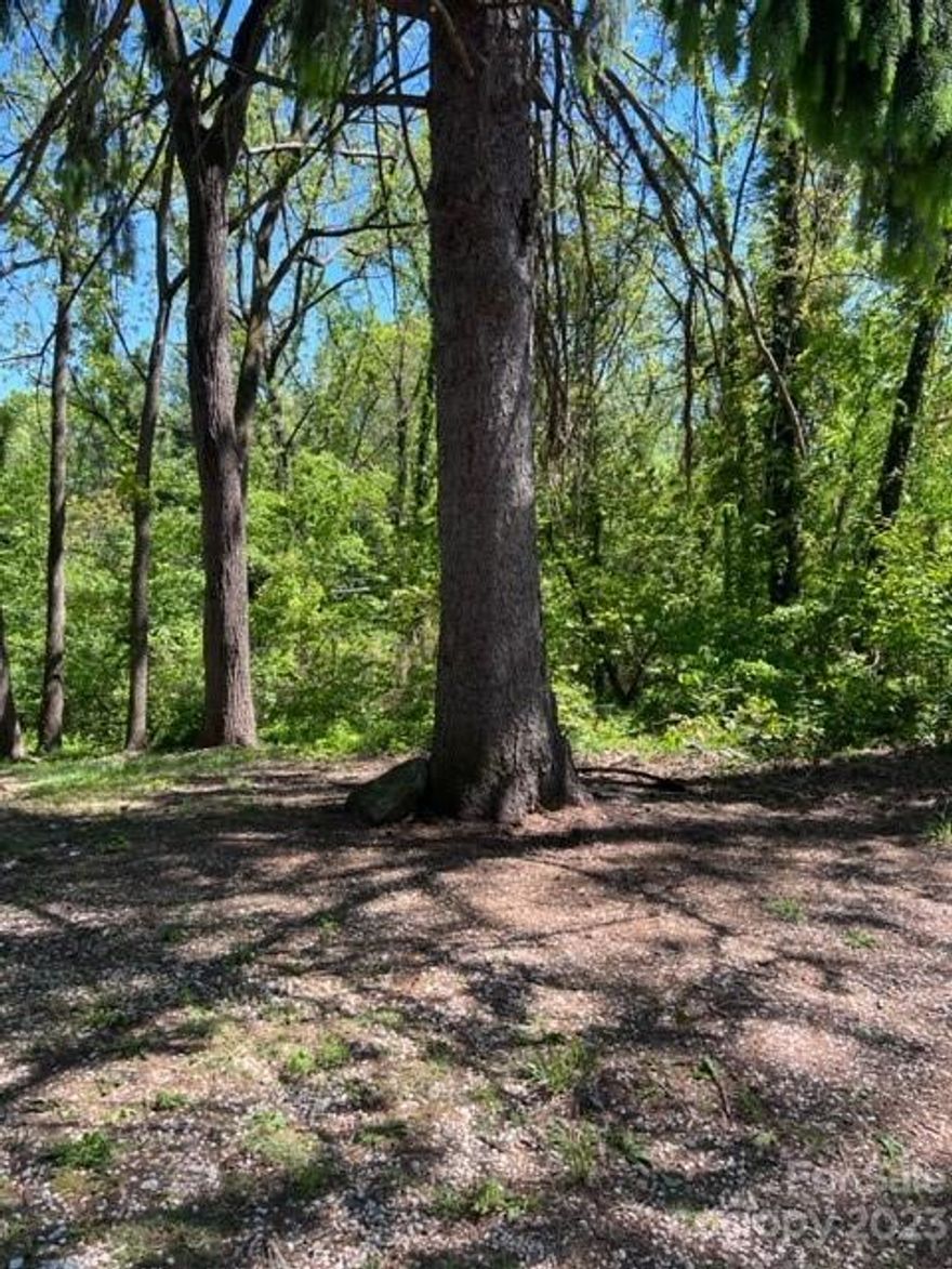 GREAT DEVELOPMENT OPPURTUNITY!! BUILDERS AND DEVELOPERS TAKE NOTE!! Sweet Kenilworth Lot 0.42 +/- Acre lot with Frontage on both Dalton St. and Kenilworth Rd. Located in a highly desirable area of Kenilworth. Close to Hospital, Schools, Downtown and Asheville Mall, great location. Around 100' feet Street frontage on Dalton and 120' Street frontage on Kenilworth Rd. City Water and Sewer available, buyer to confirm tap fee availability and cost. The gentle grade should make for easy builds. Nice parcel for spec homes or an estate property.