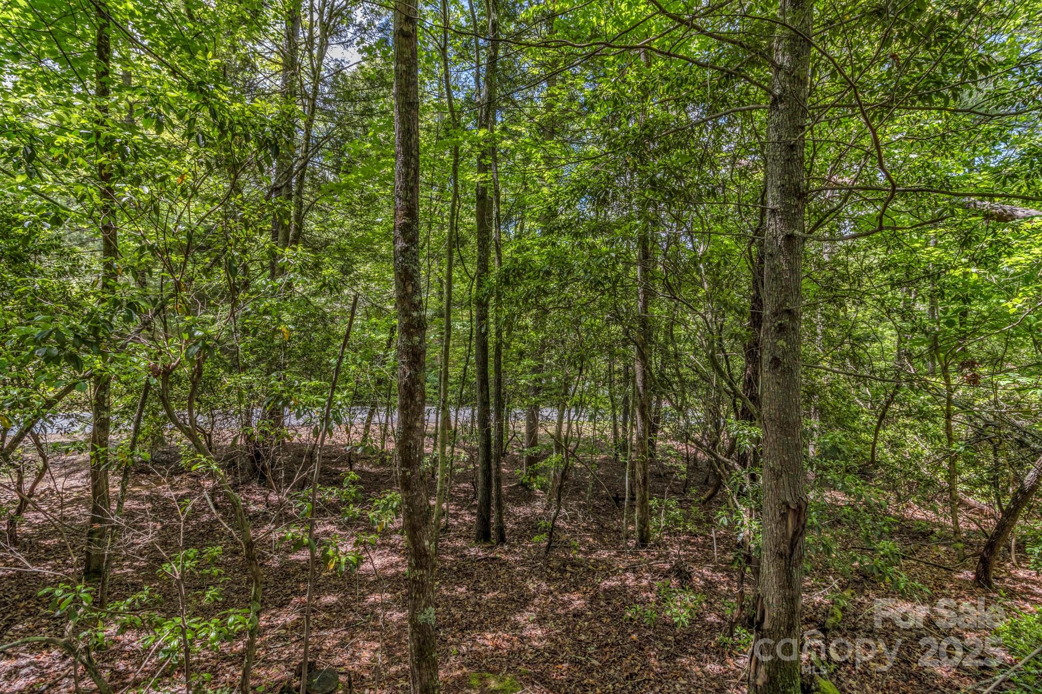 76 Drovers Lane