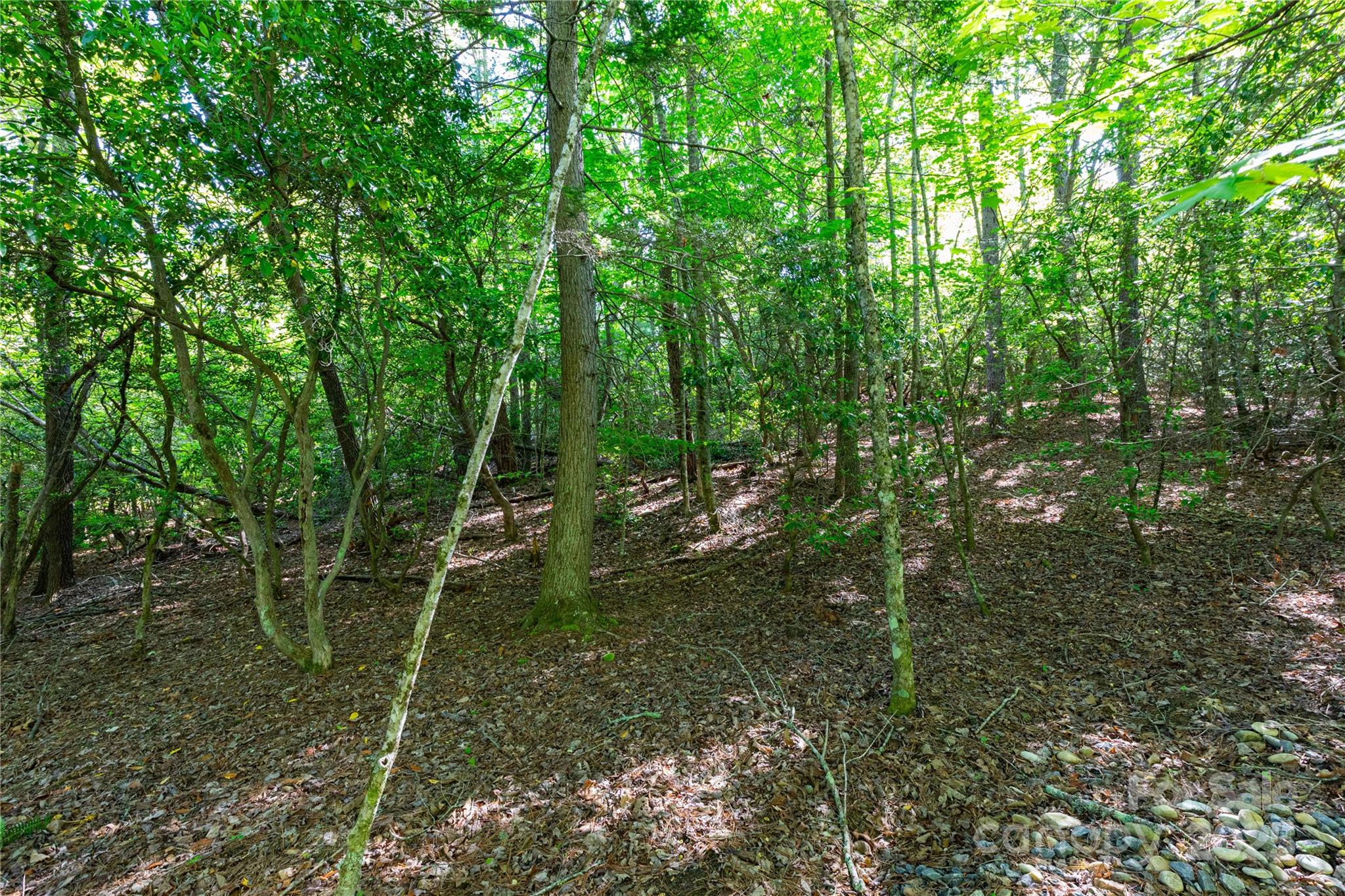 76 Drovers Lane