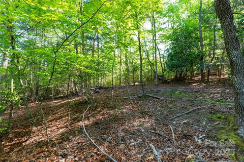 76 Drovers Lane Fairview NC 28730