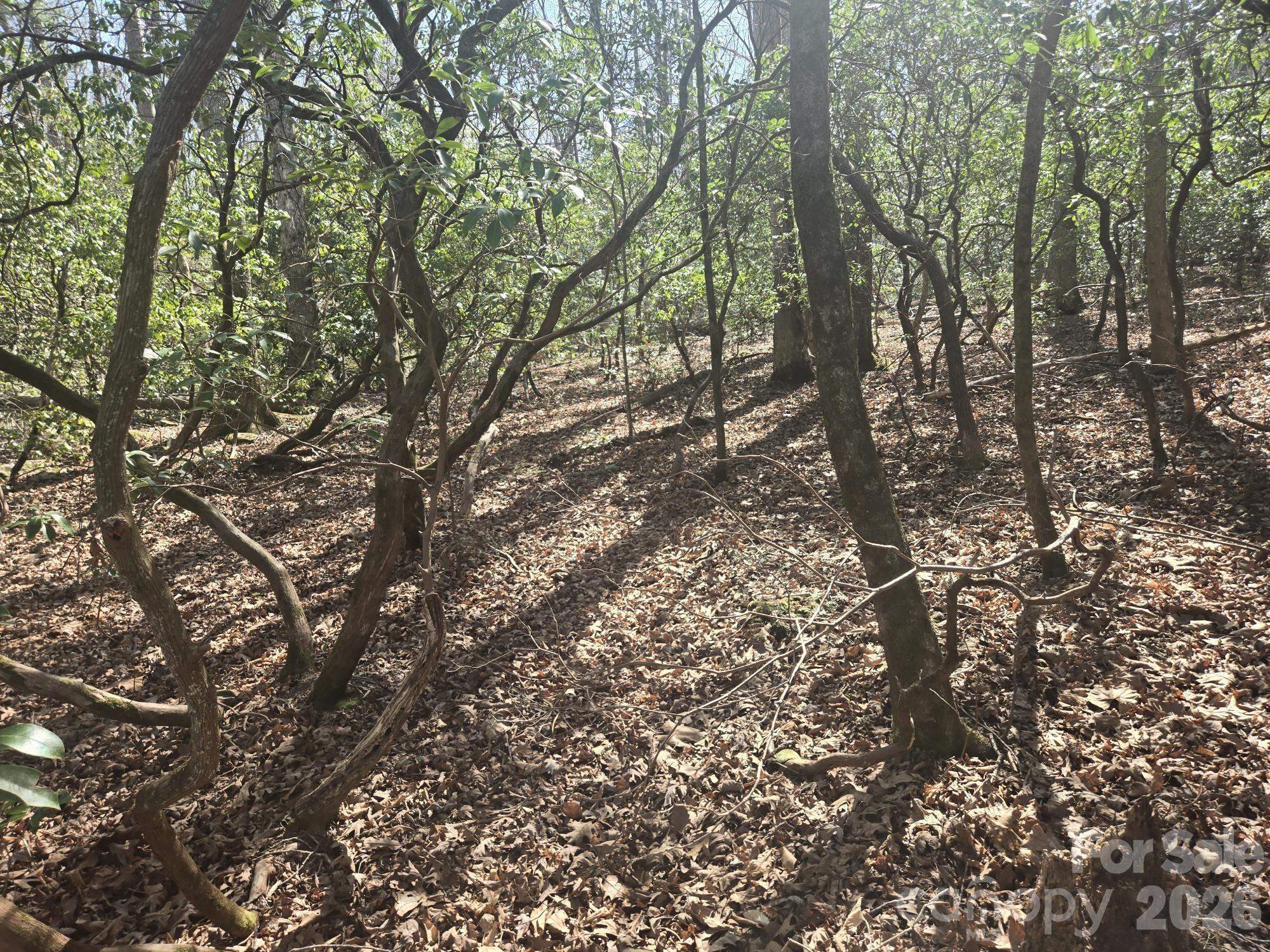 Lot 97 Mockingbird Lane