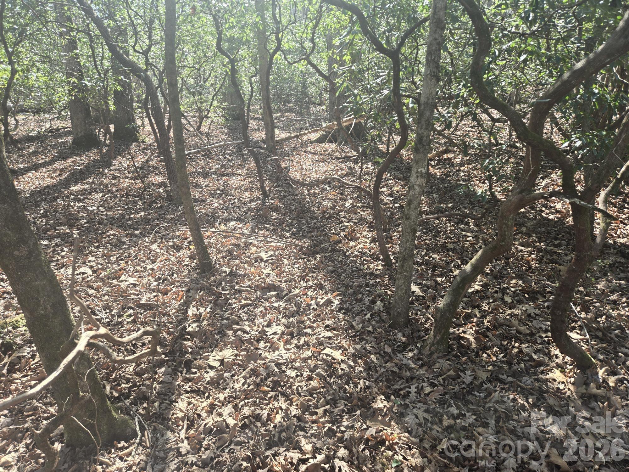 Rumbling Bald on Lake Lure - Land