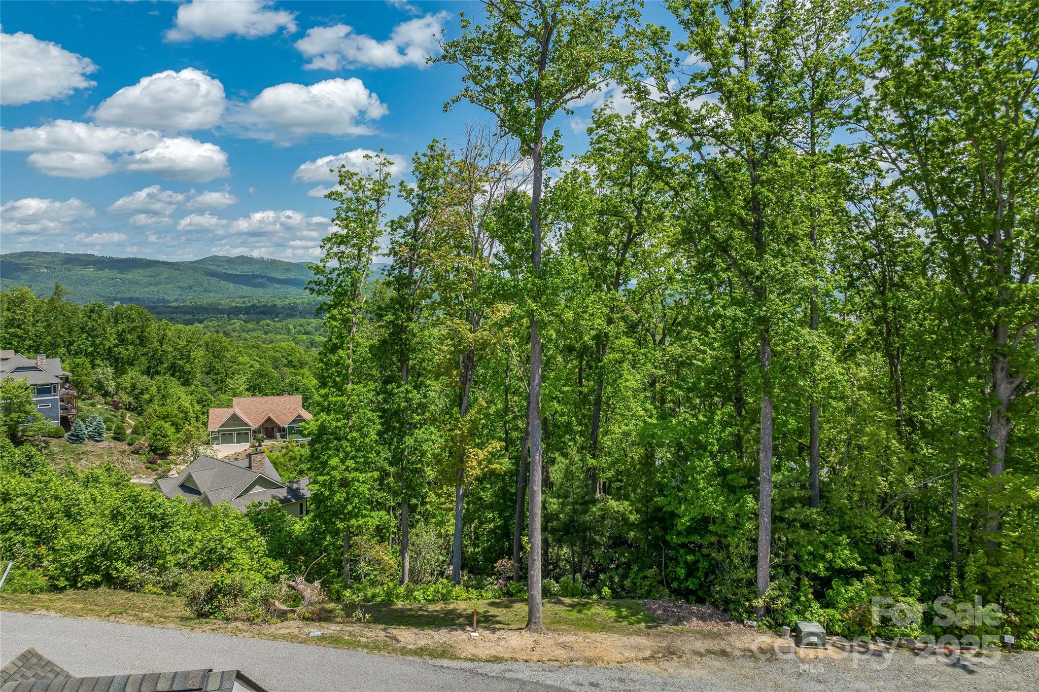 81 Curtain Bluff