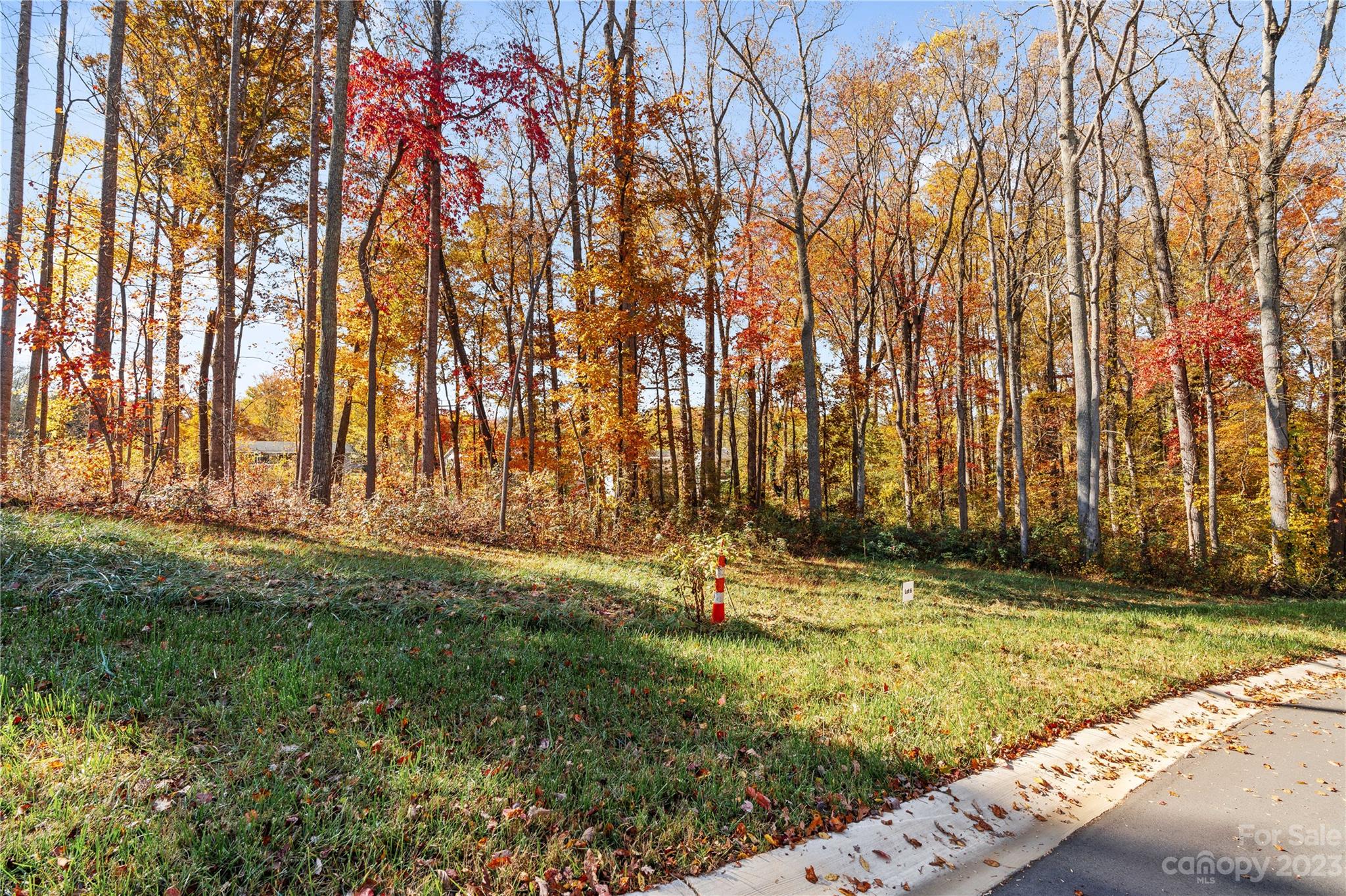 Chambers Trace - Land