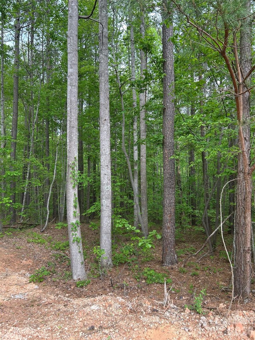 Excellent location for a walk-out home in a peaceful gated neighborhood. If you are seeking a large, private, wooded lot in the highly-sought after Pebble Bay Neighborhood- You found it. One of the few lots remaining, this is the opportunity you have been looking for. Situated a the end of the cul-de-sac, this 1.75 acre lot is waiting for your dream home. Community covenants preserve mature trees on every lot, ensuring lasting seclusion and serenity. In addition, Pebble Bay has community access to Lake Norman, with boat ramp, day slips and pier. Boat storage is available for a fee(waitlist may apply). The peaceful, lake-access lifestyle you’ve been searching for is right here. Save time and money-Current Septic permit for 4 bedroom home in attachments- expires 8/30/27. Bring your builder for your custom dream home. See attachments for current permit, and ARC documents.