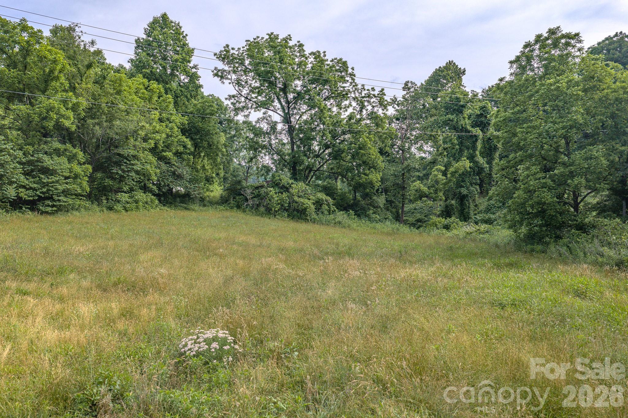 4733 Bat Cave Road