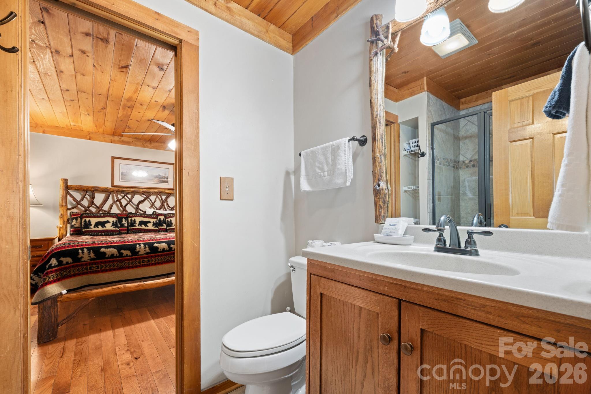 Ski Mountain - Residential