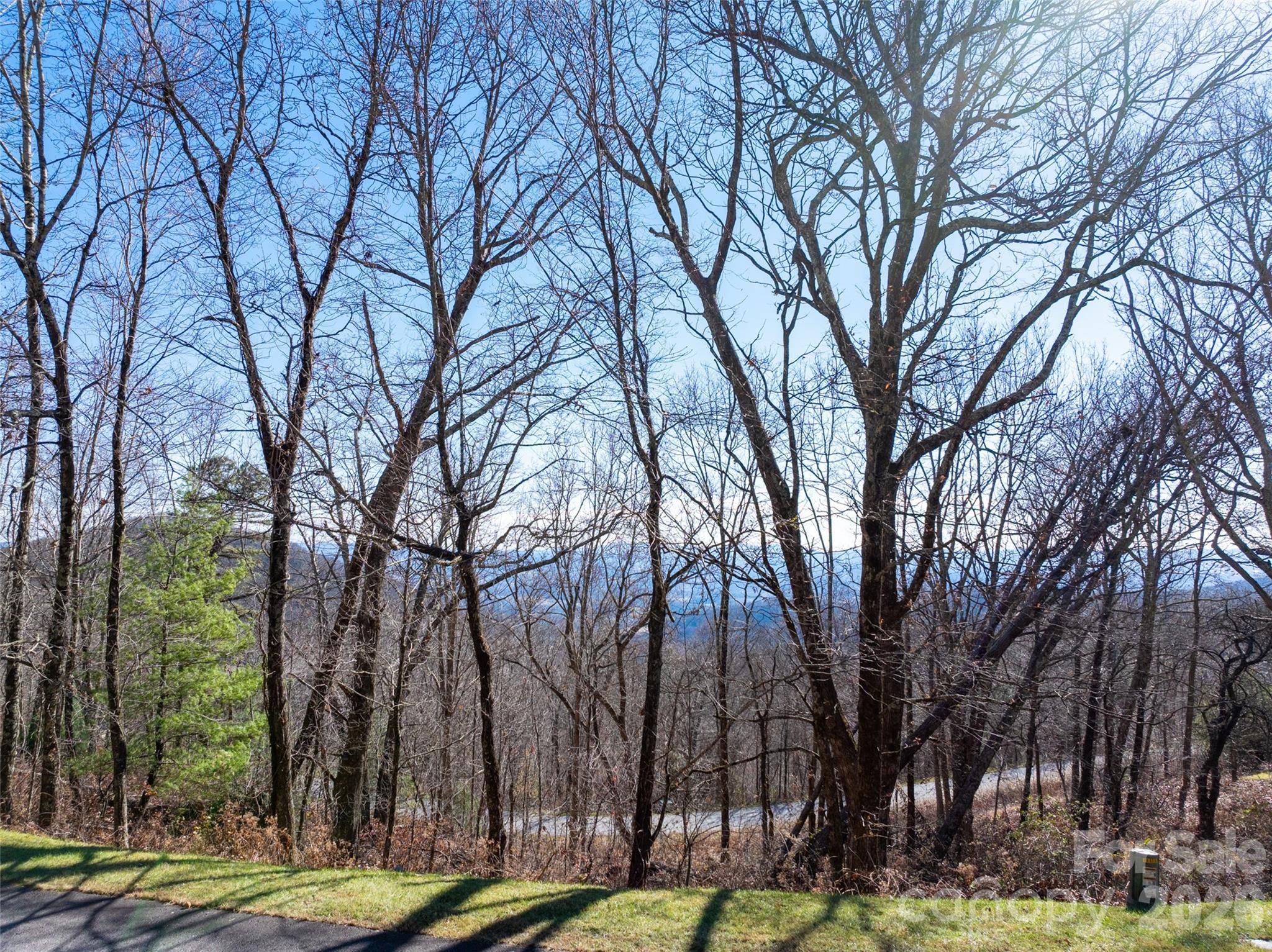 Grand Highlands at Bearwallow - Land