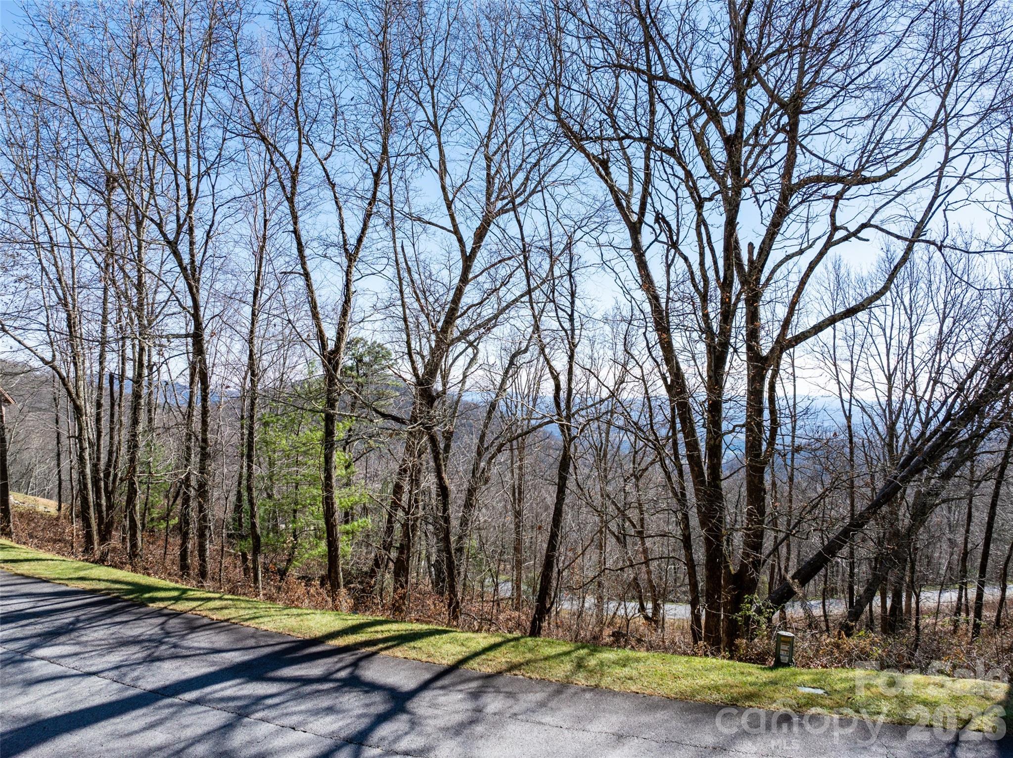 Grand Highlands at Bearwallow - Land