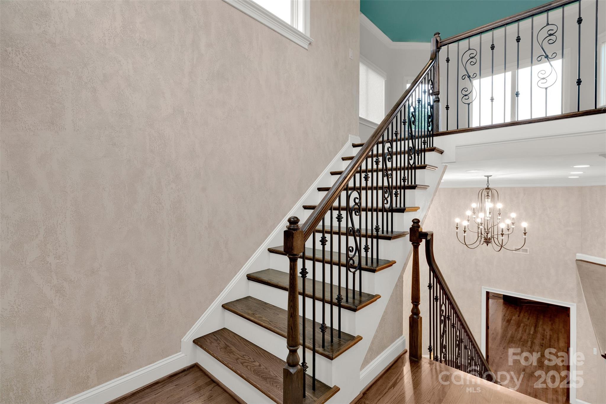 Island Forest - Residential