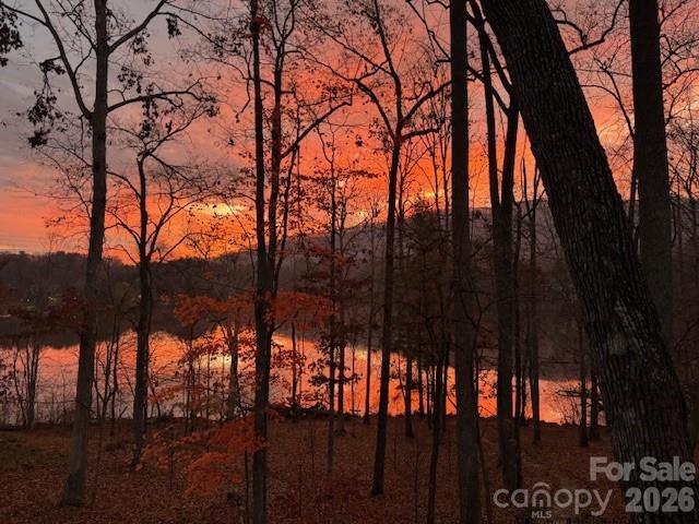 Biltmore Lake - Residential