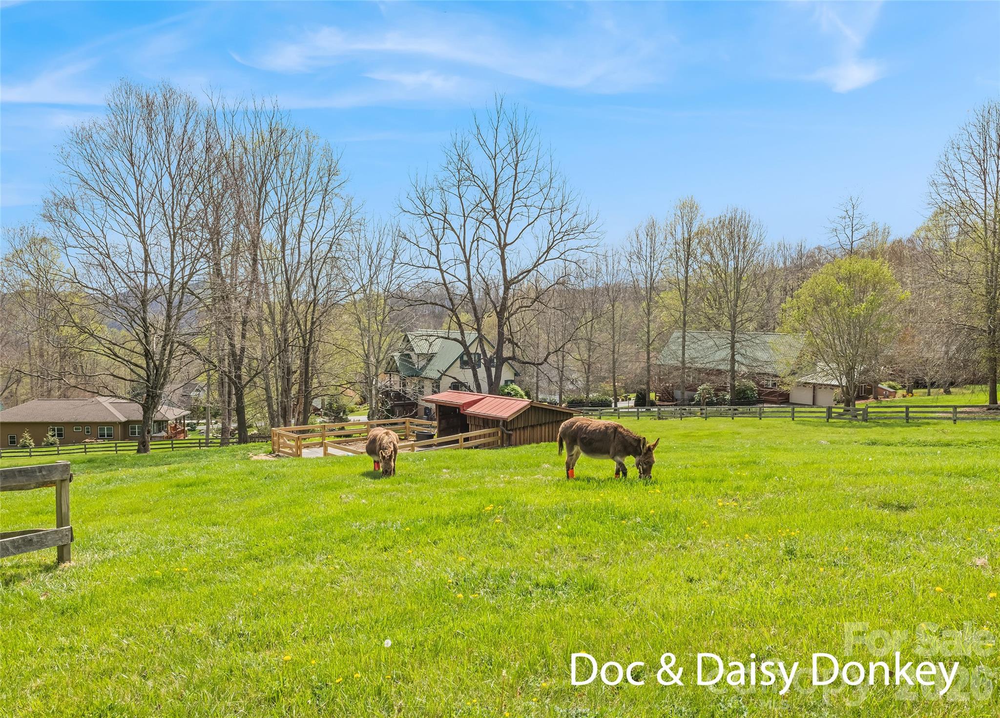 Brannon Forest - Residential