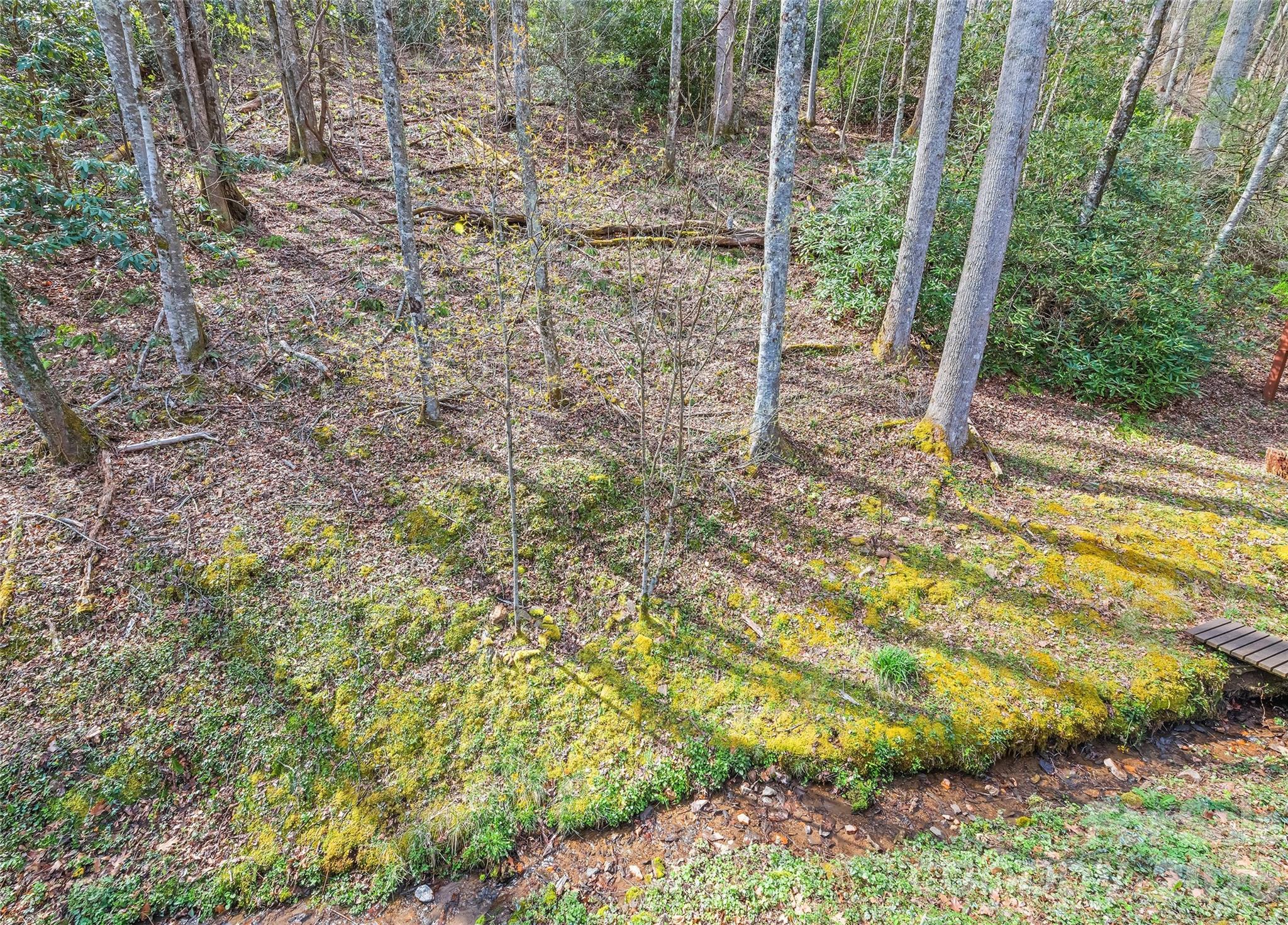 Brannon Forest - Residential