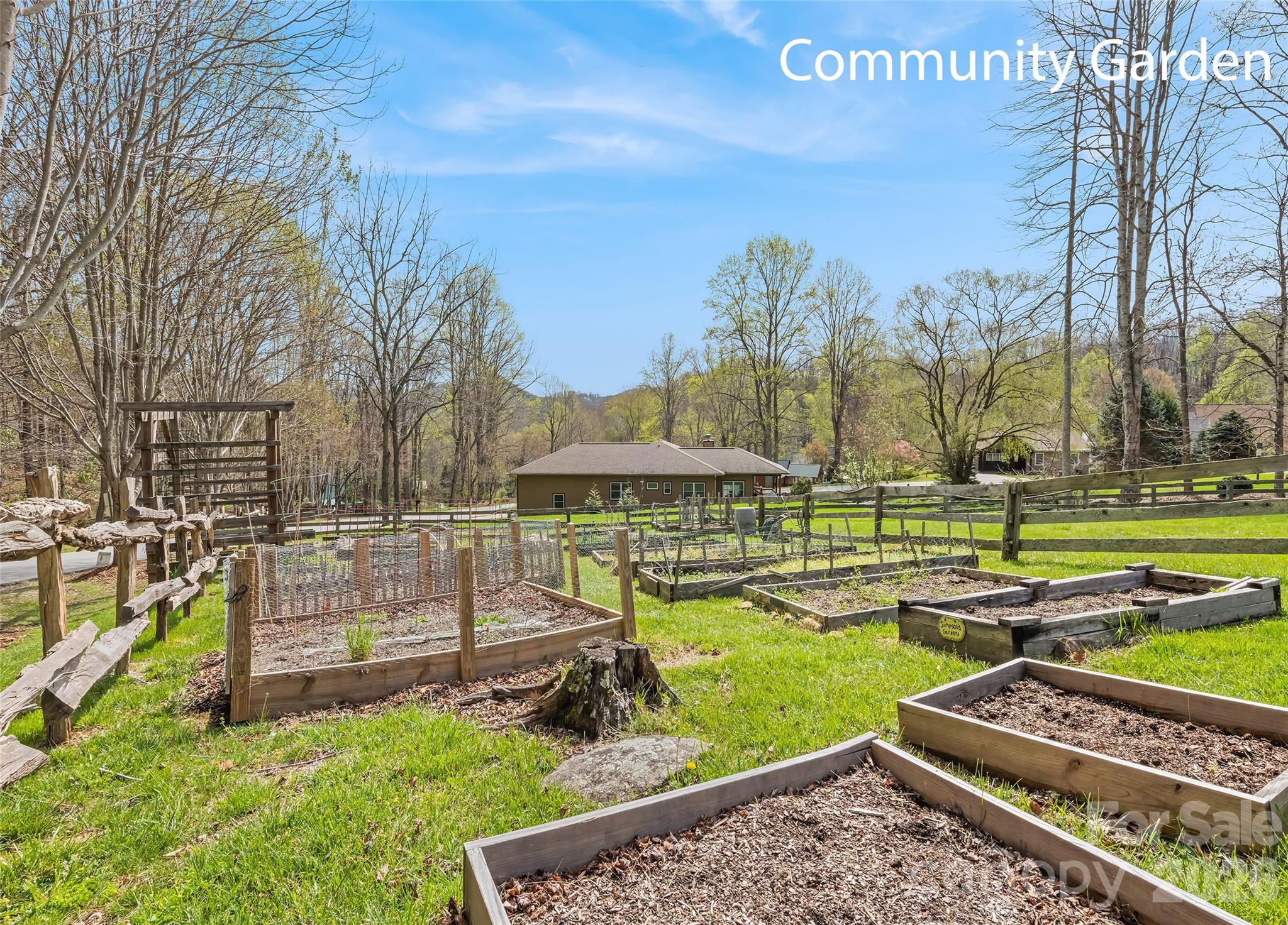 Brannon Forest - Residential