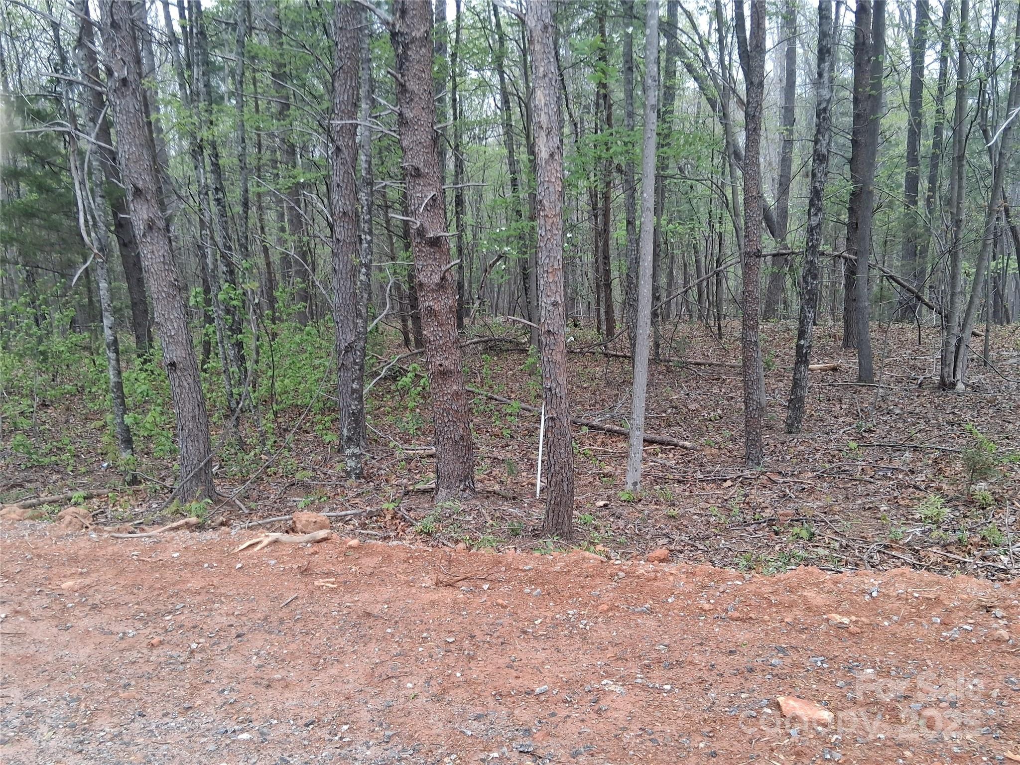 Maverick Acres - Land