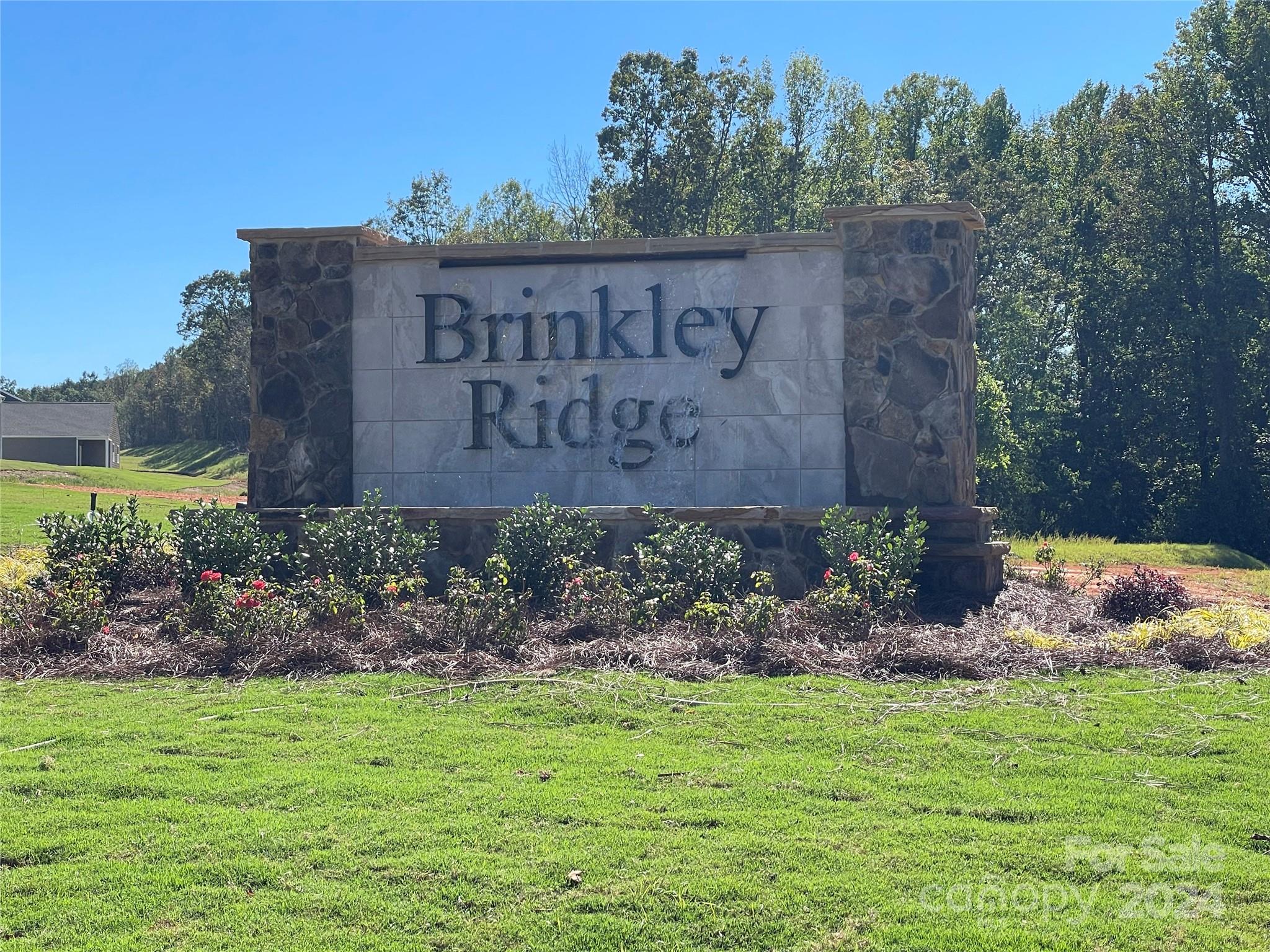 Brinkley Ridge - Residential
