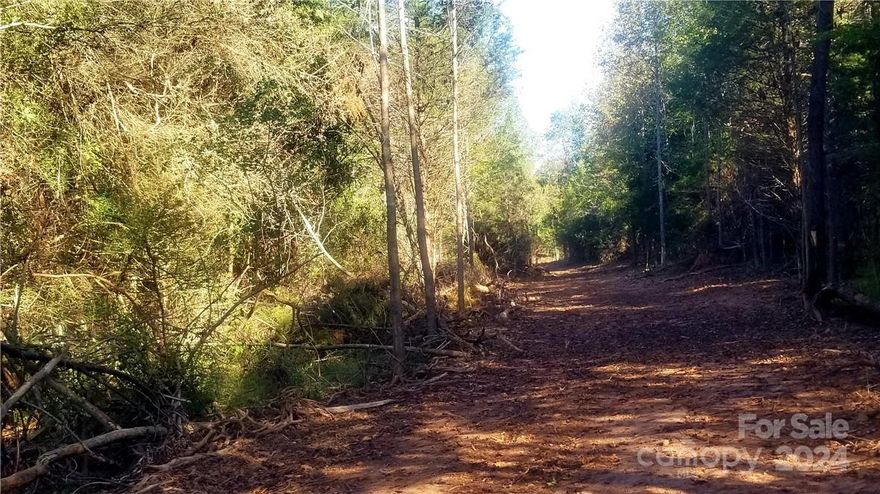 Acreage in growth positioned area with view of Crowders Mountain.  Partially cleared with upfitted drive access.  Approx. 300' road frontage on Hwy 74 and close to I85. Survey completed 2019.  Parcel coupled with PID 202156 and will be sold as a package totaling 27.86 Ac.  Could be opportunity for outparcels, restaurant, hotel,  Residential with potential for rezoning.
Close to FUSE (Franklin Urban, Sports and Entertainment) growth area, Crowders Mtn and westside development.

See attachments for plat information.  Site plan available.  Ground Lease option may be considered.  Bring your offer. Co-op financing may be considered.