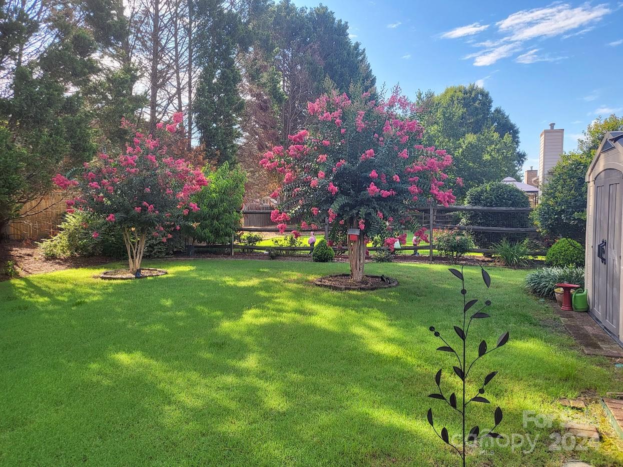 Palmetto Plantation - Residential