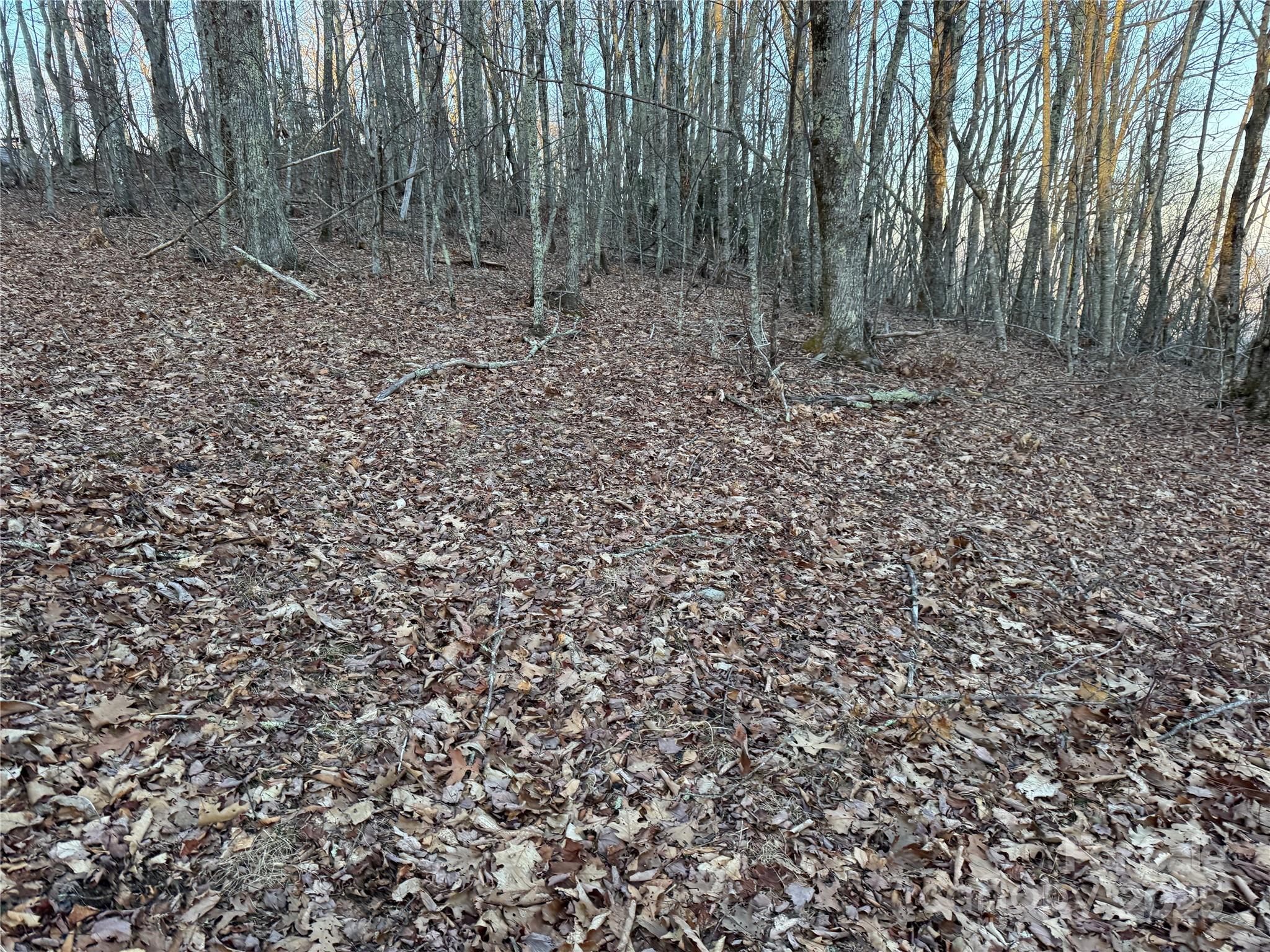 TBD Pigeon Roost Road