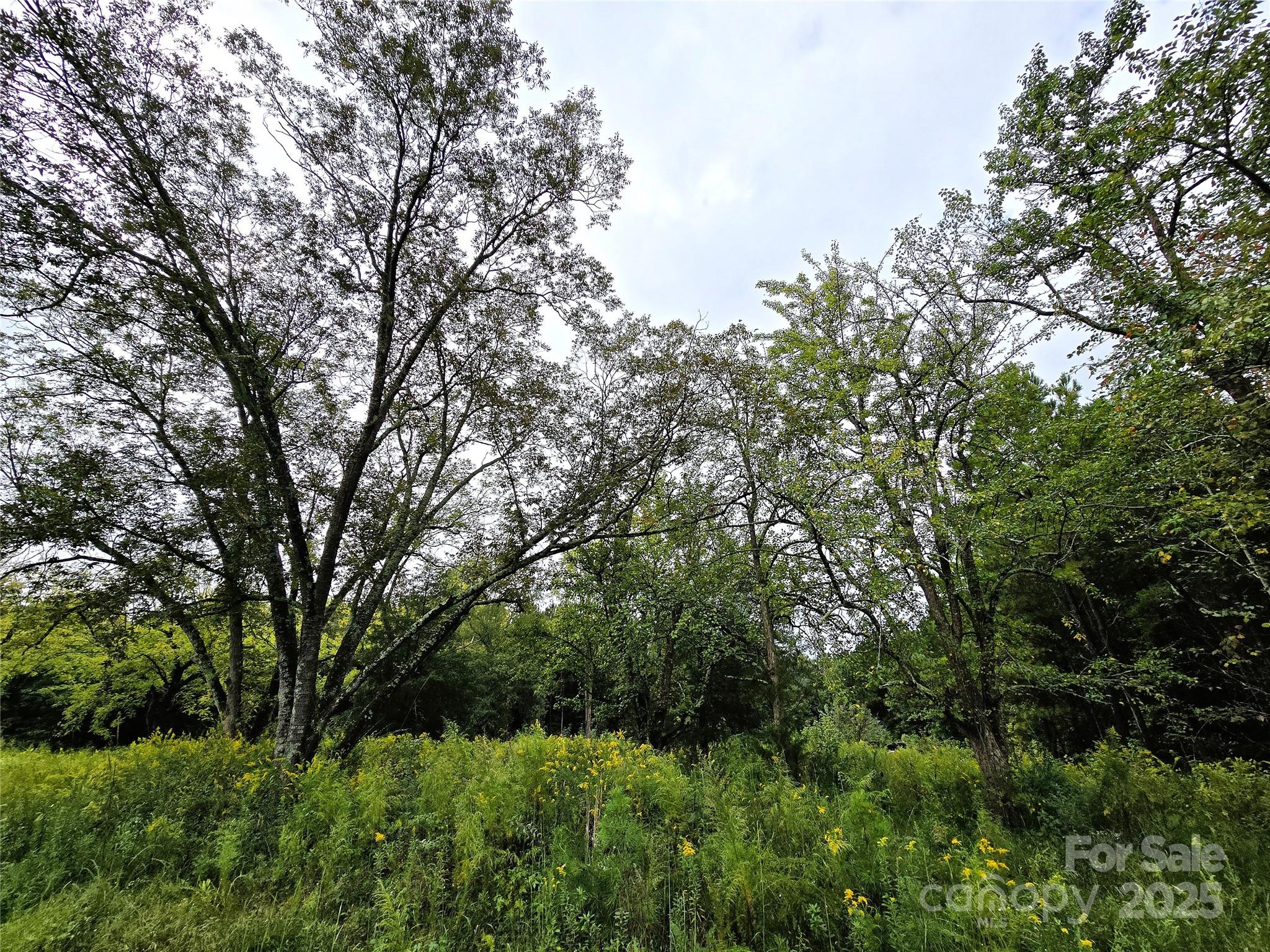 00 Southmont Road