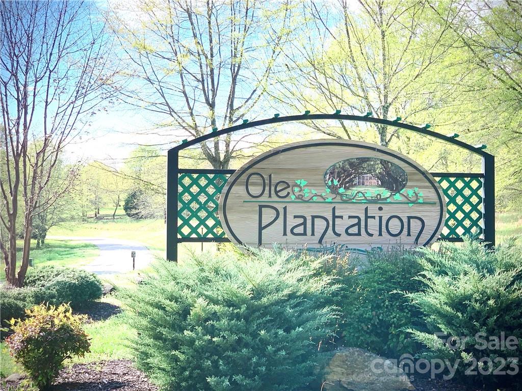 Ole Plantation - Land