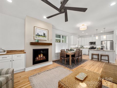 36 Skyvue Court C Saluda NC 28773