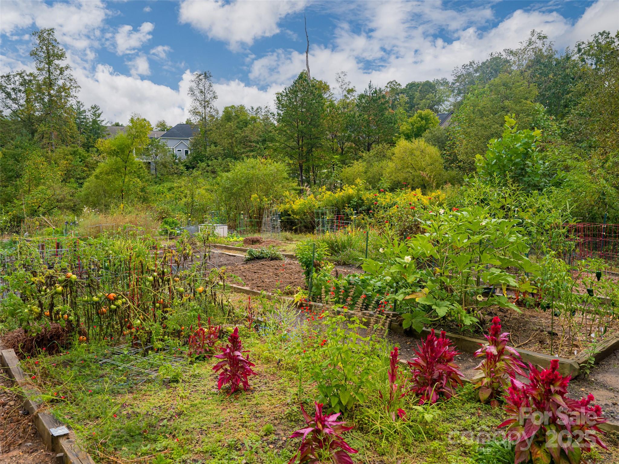 Thoms Estate - Residential