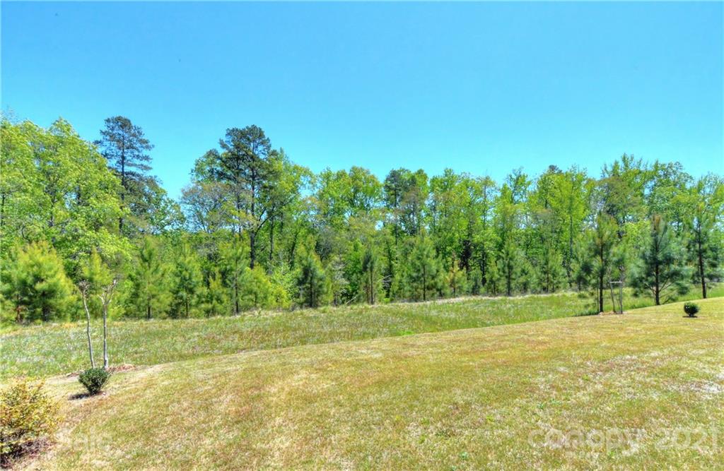 Tree Tops - Residential