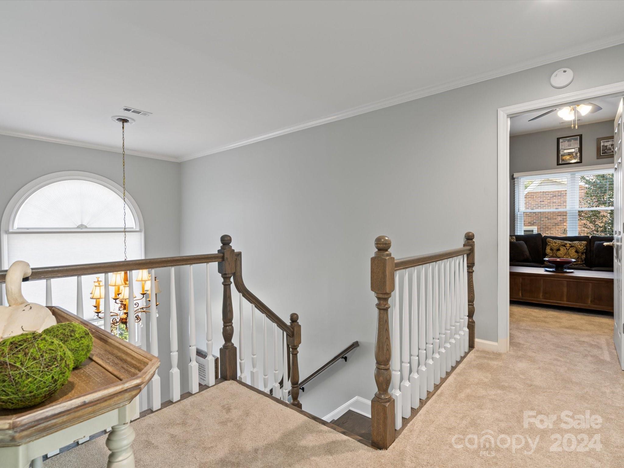 Carriage Downs - Residential