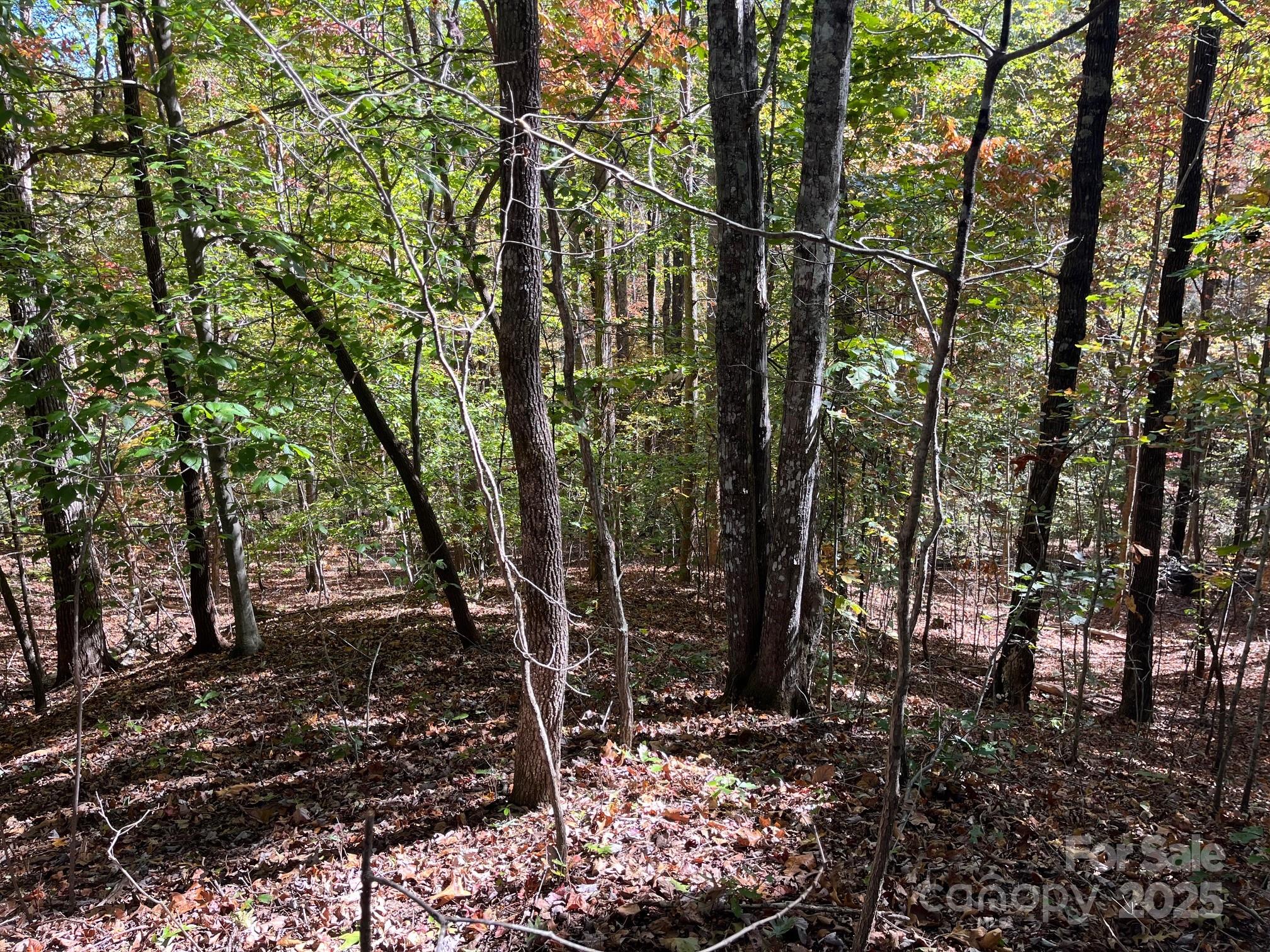 Forest Heights - Land