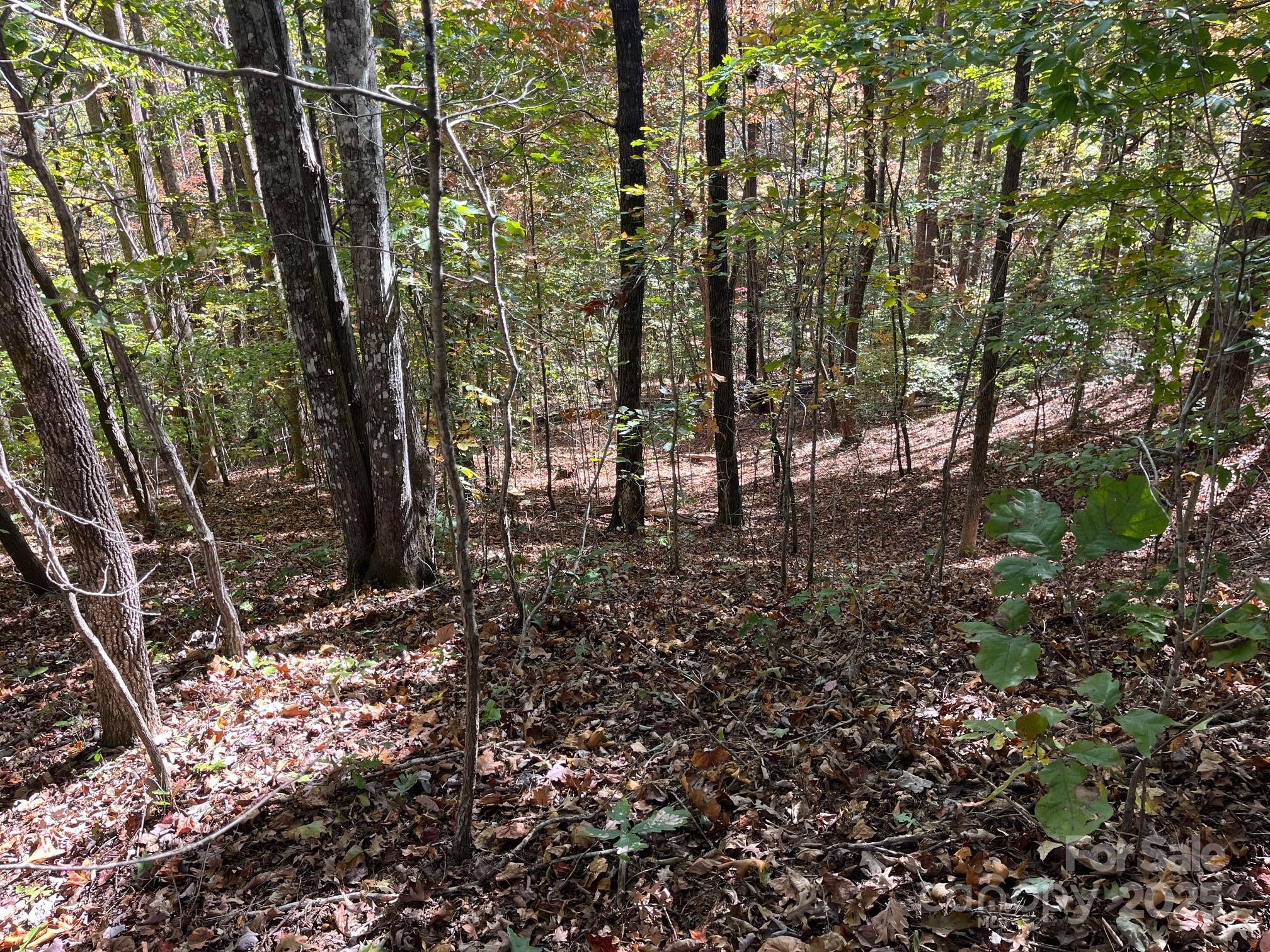 Forest Heights - Land