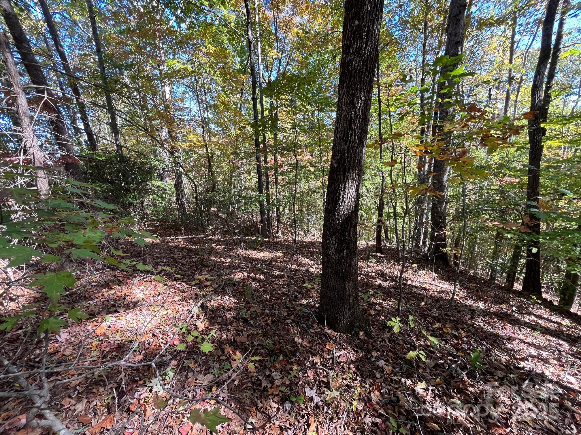 Forest Heights - Land