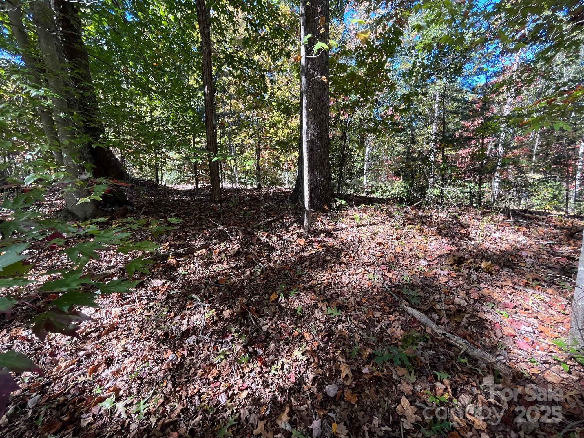 Forest Heights - Land