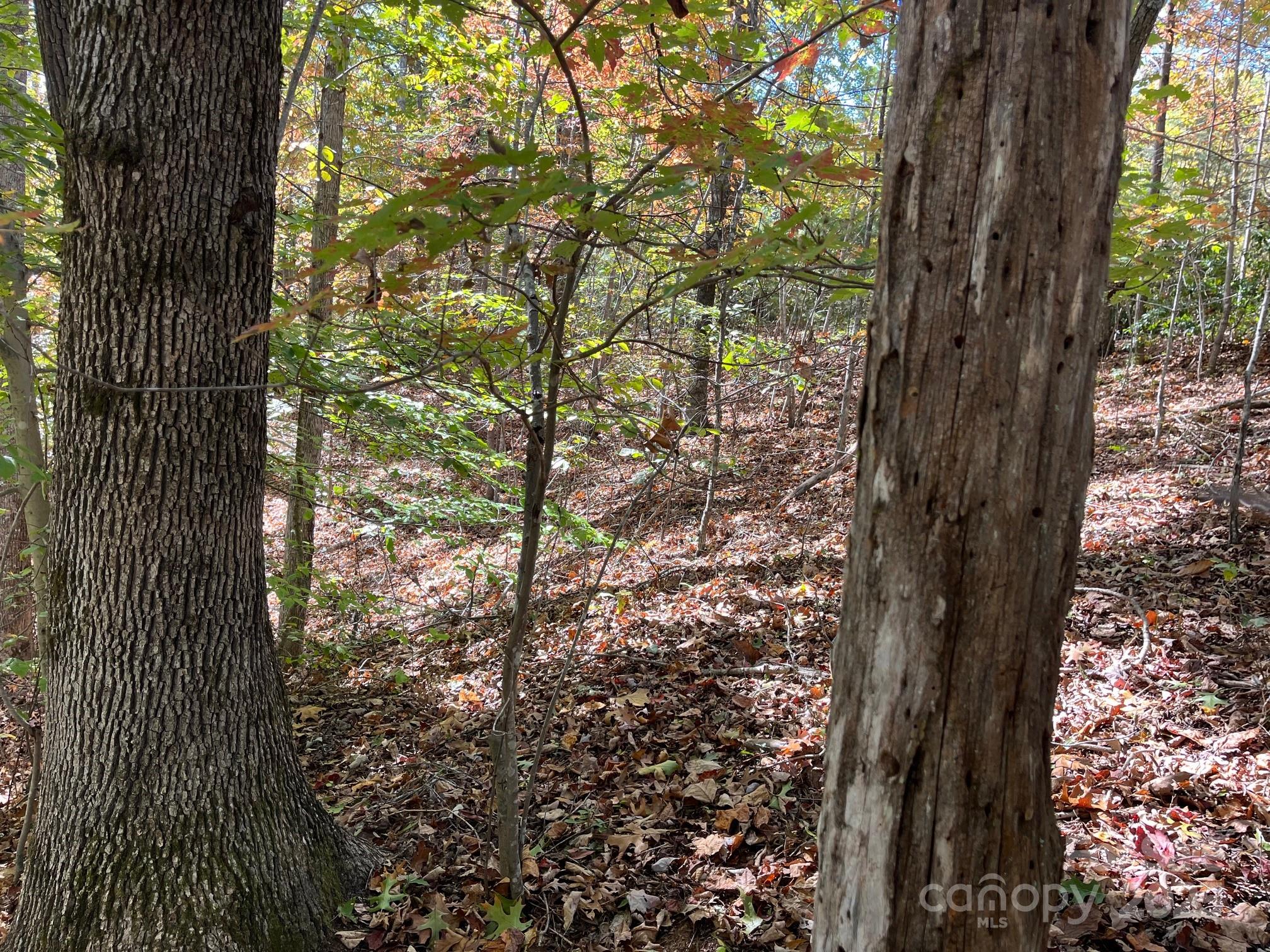 Forest Heights - Land