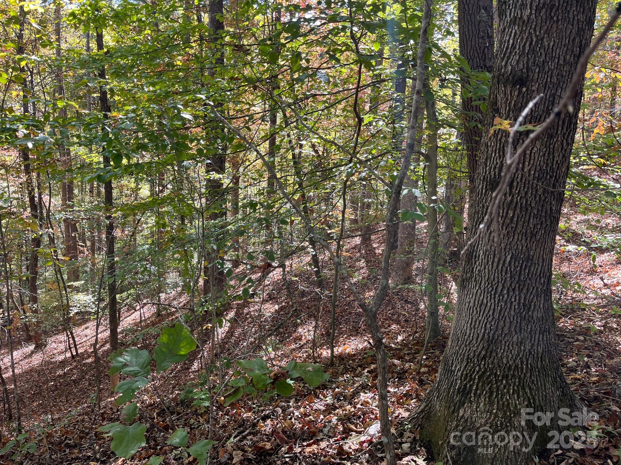 Forest Heights - Land