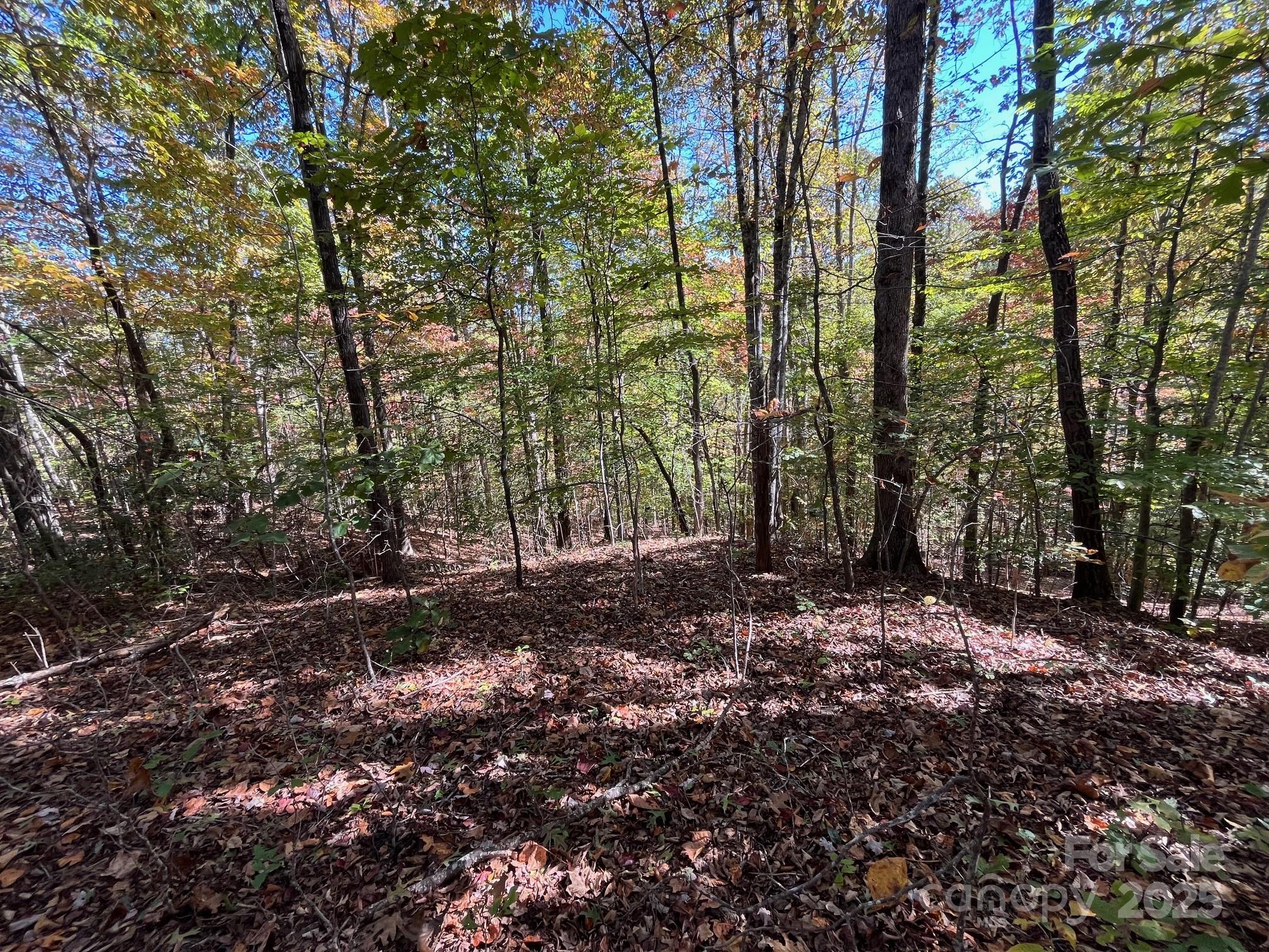 Forest Heights - Land