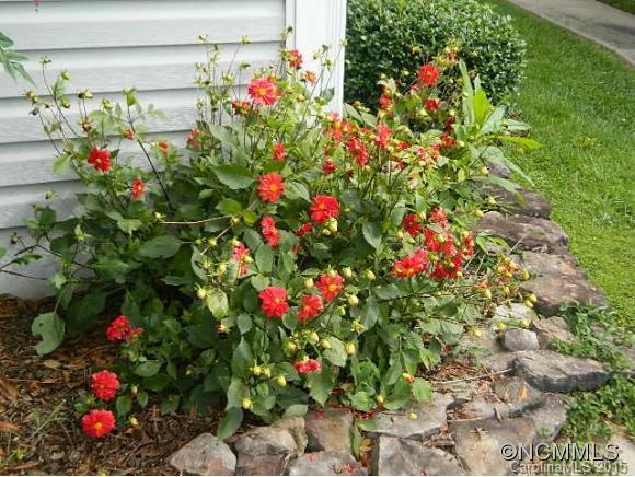 Quail Ridge - Residential