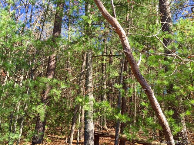 Old Wildlife Club - Land