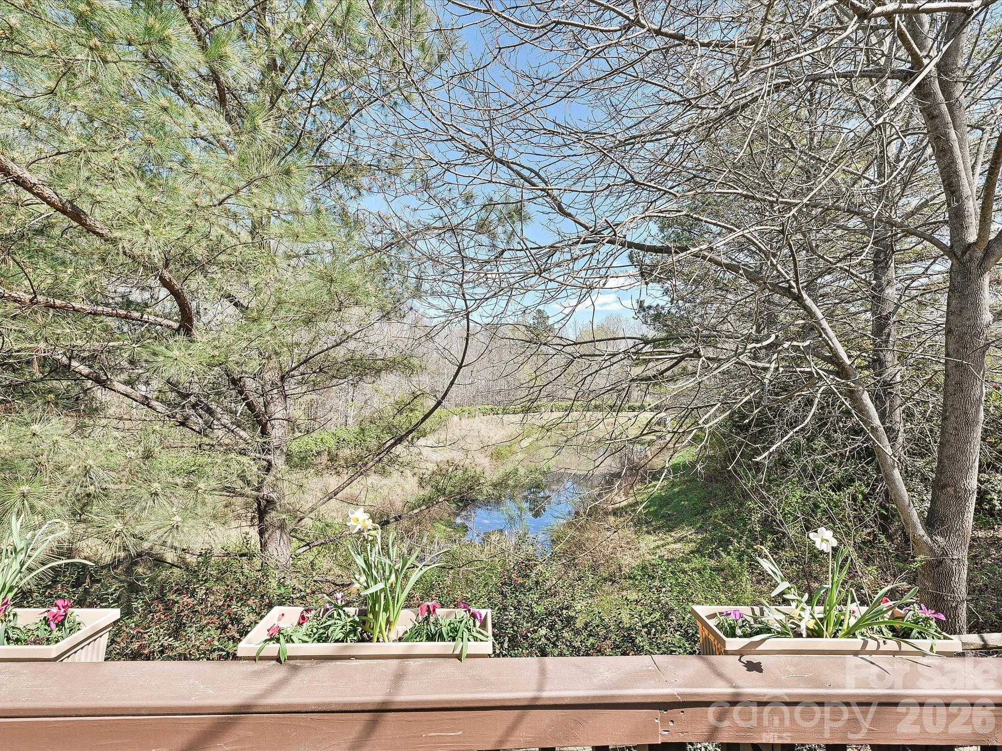 Charlotte Pines - Residential