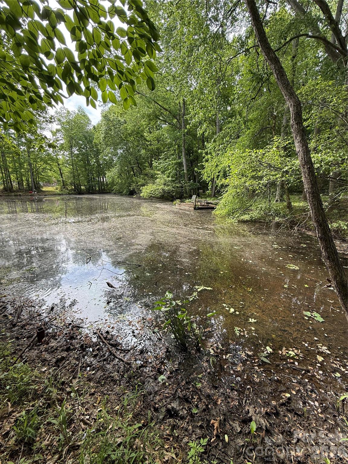 1155 Cedar Pond Lane