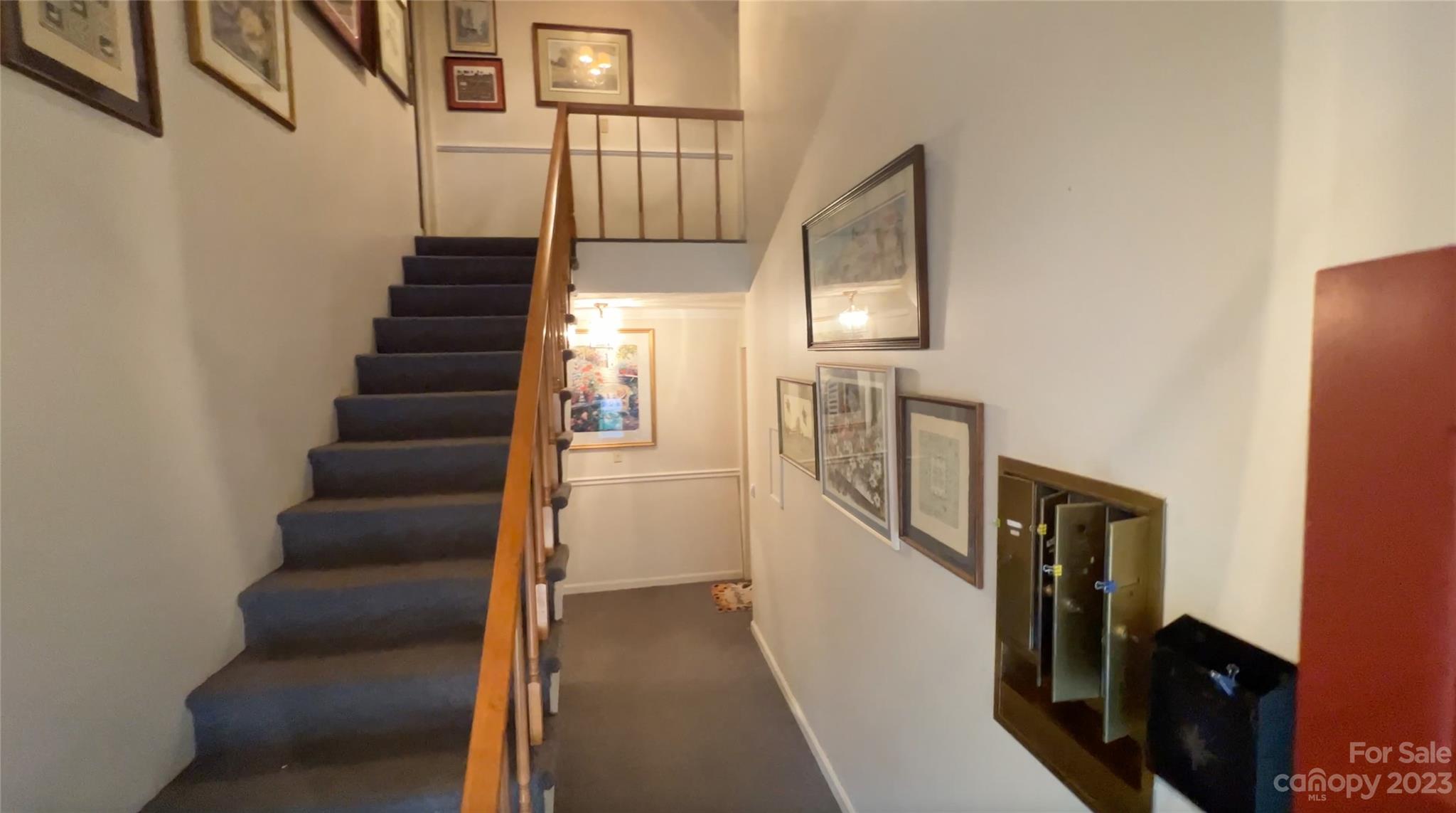 Belvedere - Residential