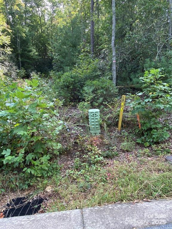 The Crossings at Cane Creek - Land