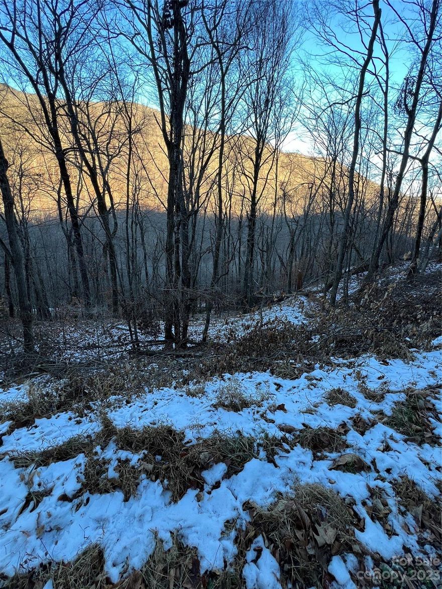 The beautiful Wolf Laurel gated community affords all the mountain living you could wish for with plenty to do summer and winter. Get your memberships and enjoy golf, horse back riding, swimming and several other amenities all at impressive heights with incredible views! Do you love hiking? The Appalachian Trail runs close by so you can jump on the local access points!