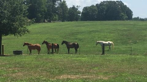 Photo of 6911 Alexander Farm Road, Monroe, NC 28110 (MLS # 3937100)