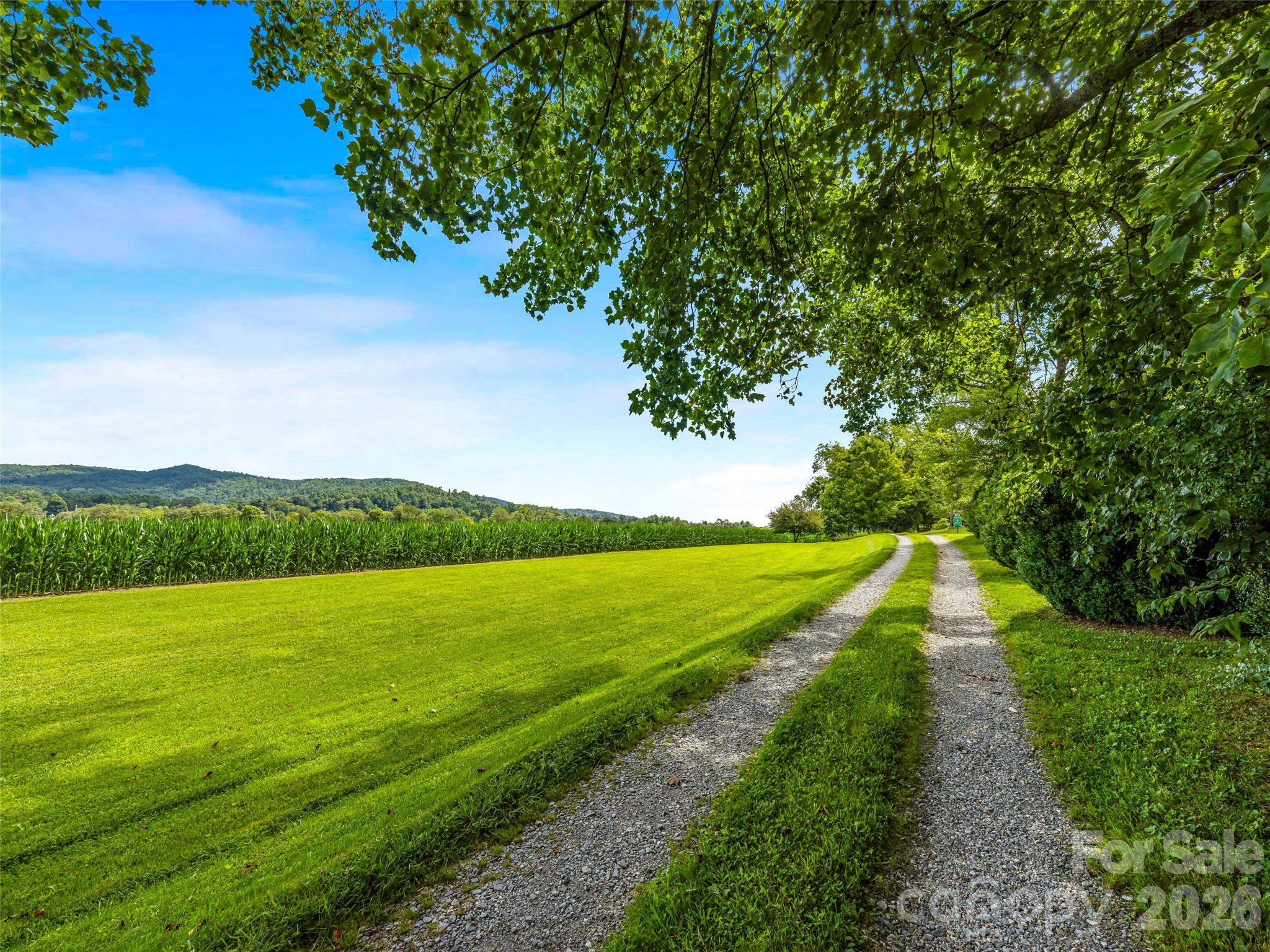 96 Merle Farm Lane