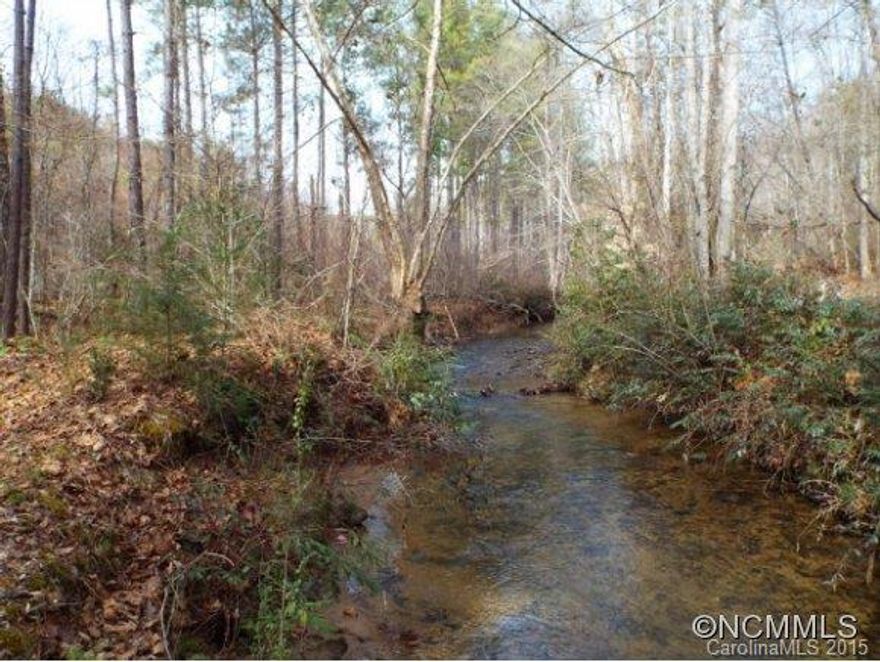 HUGE VIEWS AND A BOLD STREAM.  Rural mostly wooded acreage with some cleared along the creek frontage. Britten Creek borders one side of the property. Lots of potential for development, tree farm or a private, quiet residential enclave. Great hunting acreage, wildlife abounds. Long range mountain views from top of property. Listing agent related to Seller.