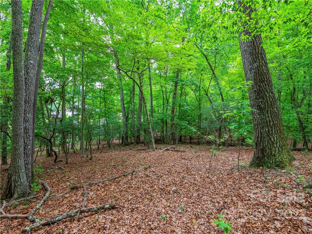 The Cliffs At Walnut Cove - Land