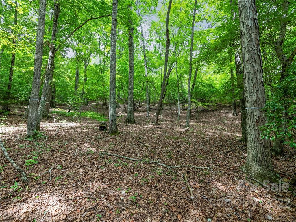 The Cliffs At Walnut Cove - Land