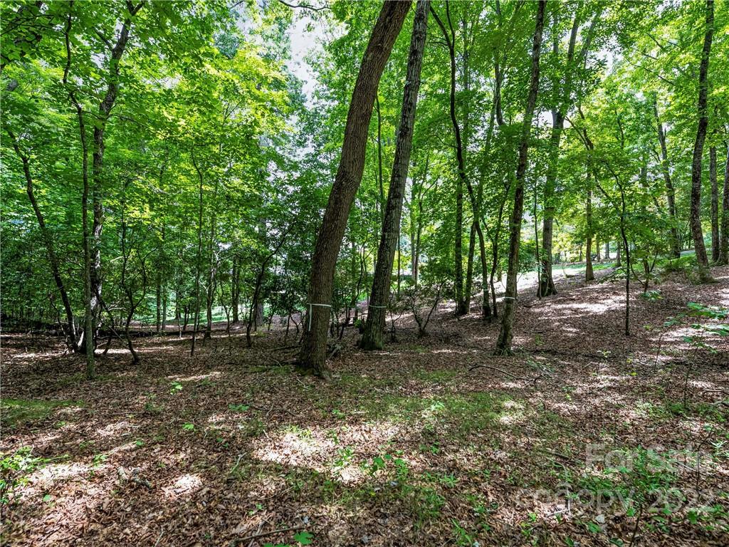 The Cliffs At Walnut Cove - Land