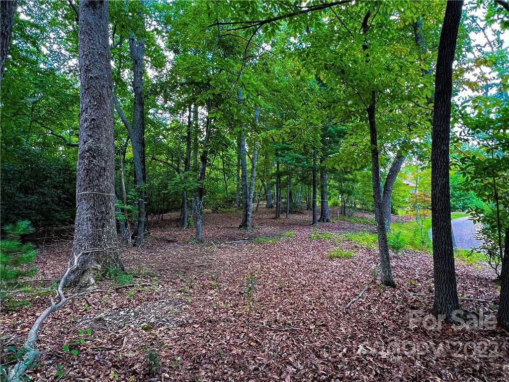 The Cliffs At Walnut Cove - Land